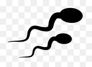 Sperm Icon Clipart - Full Size Clipart (#2123147) - ClipartFlare