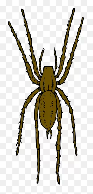 Brown Spider Clipart By Johnny Automatic - Spider Clip Art ClipartFlare.com 