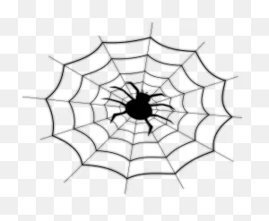 Spider Webs