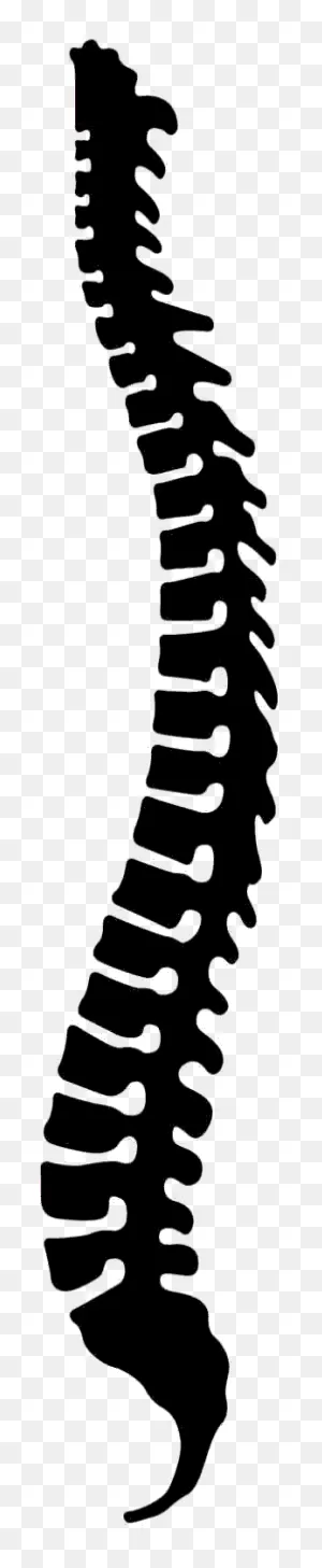 Chiropractic Logo Spine - Google Search | Chiropractic Logo ClipartFlare.com 