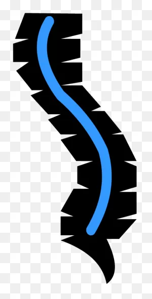 Spine