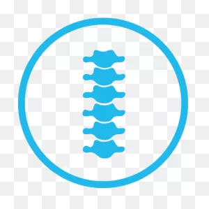Spine Png Clipart - Full Size Clipart (#4467909) - ClipartFlare