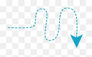 Squiggle-Arrow | Statewide Independent Living Council Of Georgia