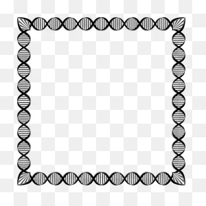 Medium Image - Png Square Border Clipart - Full Size Clipart ClipartFlare.com 