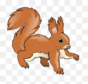 Squirrel Clipart. Free Download Transparent .png | ClipartFlare