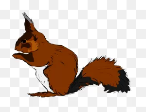 Squirrel Clipart. Free Download Transparent .png | ClipartFlare