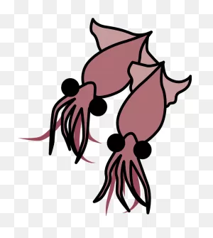 Firefly Squid Clipart. Free Download Transparent .png | ClipartFlare