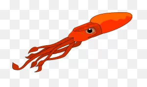 Free Squid Cliparts, Download Free Squid Cliparts Png Images, Free ClipartFlare.com 