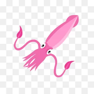 Giant Squid - Brainpop