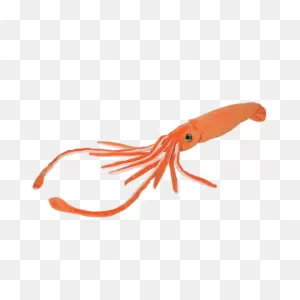 Monterey Bay Aquarium Trolls Apple Over Anatomically Incorrect ClipartFlare.com 