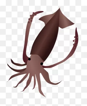 Squid Animal Clipart. Free Download Transparent .png | ClipartFlare