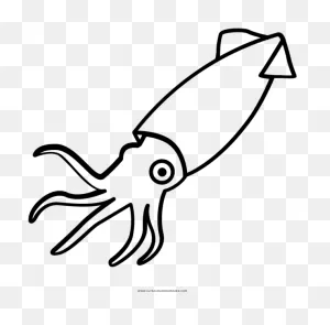 Squid Coloring Pages - Squid Clipart Black And White - Png ClipartFlare.com 