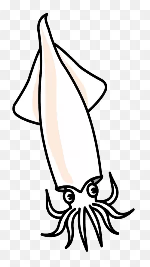 Squid Clipart. Free Download Transparent .png | ClipartFlare
