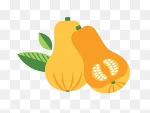 Butternut Squash — Alpine Fresh