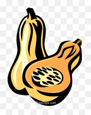 Butternut Squash Royalty Free Vector Clip Art Illustration ClipartFlare.com 