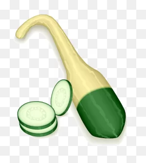 Gourd Squash Clipart. Free Download Transparent .png | ClipartFlare