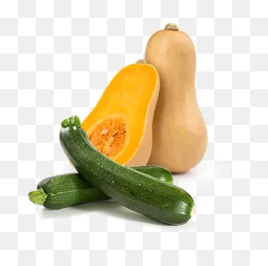 Squash / Cucurbit | C Green