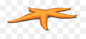 Starfish Clipart Black And White Free Clipart Images 3 ClipartFlare.com 