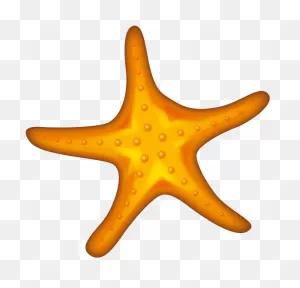 Starfish Clipart - Full Size Clipart (#5756640) - ClipartFlare