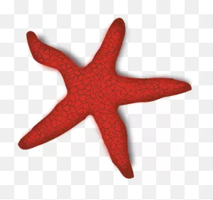 Starfish Free To Use Cliparts - ClipartFlare ClipartFlare.com