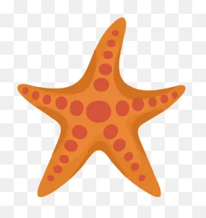 Starfish Clipart. Free Download Transparent .png | ClipartFlare