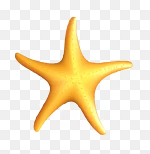 Transparent Beach Starfish Png Clipart | Clip Art, Starfish ClipartFlare.com 