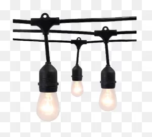 10 Light Heavy-Duty Drop String Lights With Black Wire™ - Smith & Hawken™