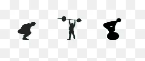 Barbell Training For Everyone | Bay Strength