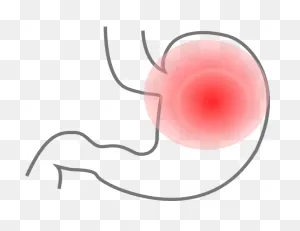 Stomach Clip Art At ClipartFlare ClipartFlare.com - Vector Clip Art Online, Royalty ClipartFlare.com 