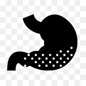 Stomach Vector PNG-WebP Icon (15) - Png Repo Free Png Icons
