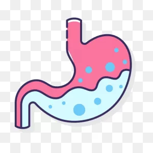 Stomach - Free Medical Icons