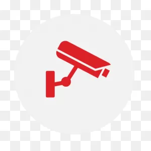 Video Surveillance — Vigilant Platforms