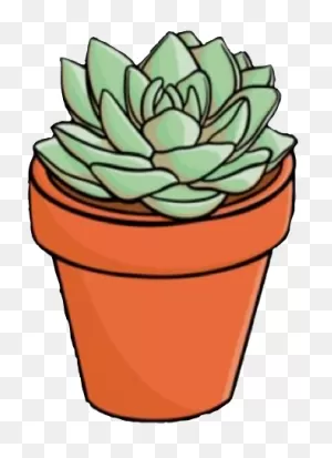 Plant Succulent Green Vsco Aesthetic Sticker By @mayakhaley