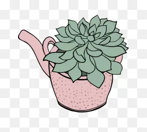 Succulent Clipart Transparent 4 - ClipartFlare