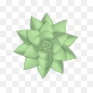 Succulent Clipart Transparent 3 - ClipartFlare