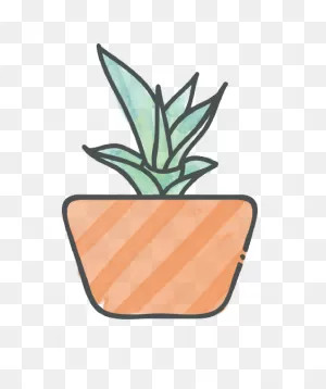 Succulent Identification & Care Tips | Succulent Studios