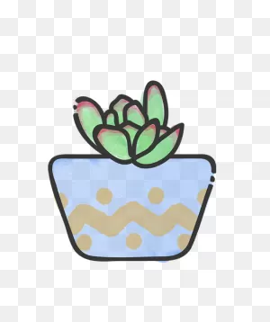 Succulent Identification & Care Tips | Succulent Studios