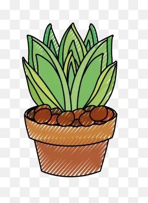 Succulent Clipart Transparent - ClipartFlare