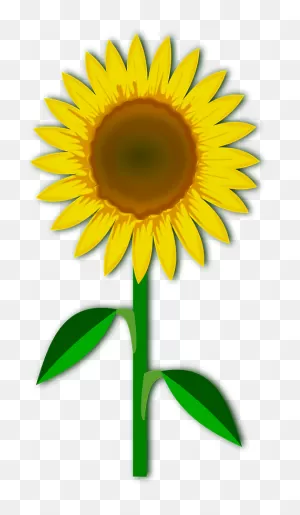One Large Yellow Sunflower With Stem Clipart. Free Download ClipartFlare.com 