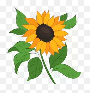 Sunflower Clipart. Free Download Transparent .png | ClipartFlare