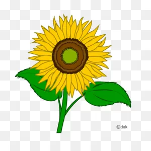 Sunflower Clip Art Clipart Free Clipart Microsoft Clipart ClipartFlare.com 