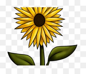 Sunflower Clipart Flower - Clip Art | Full Size Png Download | ClipartFlare