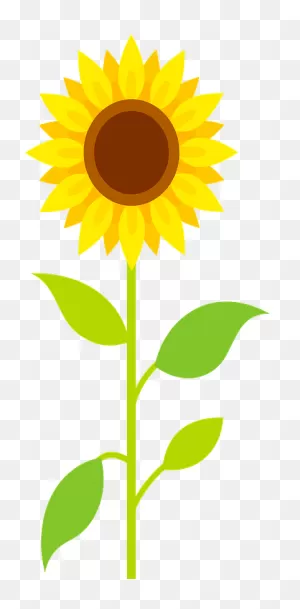 Sunflower Clipart. Free Download Transparent .png | ClipartFlare