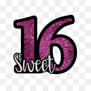 How To Plan The Perfect Sweet 16 — Divine Limousine