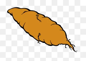 Sweet Potato Root - Free Vector Graphic On ClipartFlare