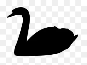 Black Swan Image | Public Domain Vectors
