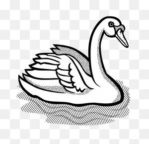 Black-And-White Mute Swan Clipart. Free Download Transparent .png ClipartFlare.com 