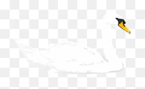 Free Png Download Swan Transparent Png Images Background - Tundra ClipartFlare.com 