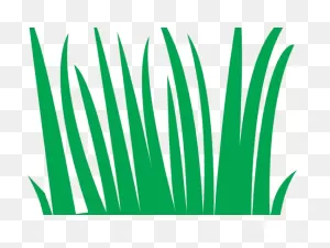 Download Hd Swamp Clipart Grass Field - Animation Transparent Png ClipartFlare.com 