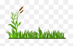 Free Swamp Background Cliparts, Download Free Swamp Background ClipartFlare.com 